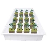 Greenhouse Hydroponic systems ABS Flood Trays Rolling table